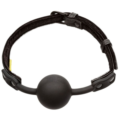 CALEXOTICS - BOUNDLESS GAG