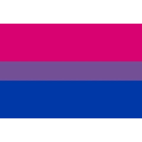 PRIDE - FLAG 90 X 150 BIXESUAL