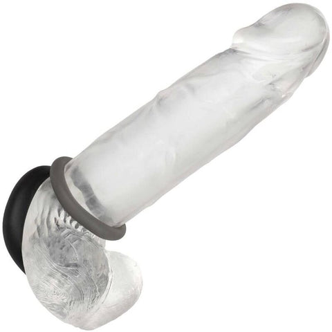 CALEXOTICS - ALPHA SET OF 2 PROLONG RINGS GREY