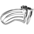 anillo castidad juguetes bondage