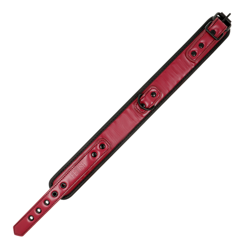FETISH SUBMISSIVE DARK ROOM - NECKLACE WITH CHAIN ​​WITH NEOPRENE LINED